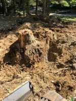 Stumping 2.jpg