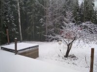 IMG_20201223_103825.jpg