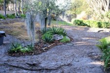 2013-01-25 Sod.jpg
