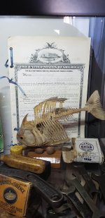 20201109_110345.jpg