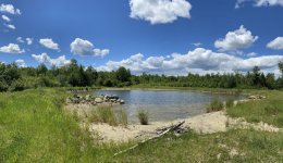 pond 2.jpg