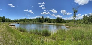 pond.jpg