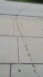 20201021_165929.jpg