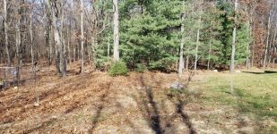 20201109_120353.jpg