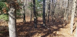 20201109_120423.jpg