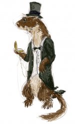 weasel.jpg