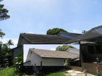 Roof and Surfaces Cleanup 2.jpg