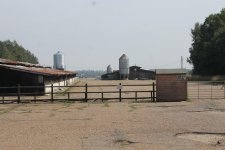 IMG_6075.jpg
