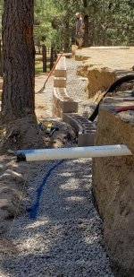 Curving Wall Around Big Tree.jpg