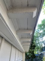 IMG_1179.jpg