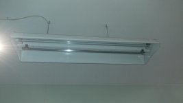 IMG_20200916_185625.jpg
