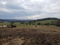 20190324_150536.jpg