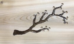 848B56F6-EE94-40FC-80BB-E5598B62DFE6.jpg