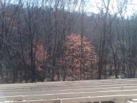 IMG00103-20101113-1047.jpg