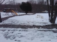 IMG00162-20101222-1710.jpg