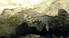 IMAG5205_1.jpg