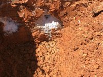 Foundation Cored.jpg