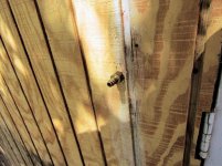 Shed Passthru 1.jpg
