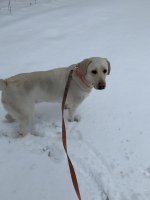 IMG_5462.jpg