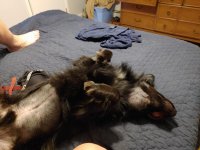 20200906_181319.jpg