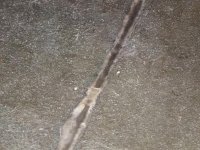 DSCF7918.jpg