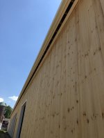 IMG_5975.jpg