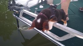 IMG_20200727_204659880.jpg