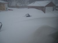 blizzard2011 001-a.JPG