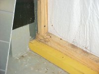 435-Termites-02.JPG