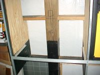 436-Termites-03.JPG