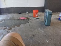 IMG_20200822_104607.jpg