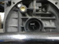 DSCN6528.jpg