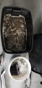 20201111_182833.jpg