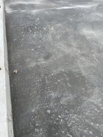 IMG_3585.jpg