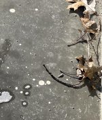 IMG_3582 2.jpg