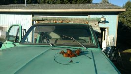 clearance lights 5.jpg
