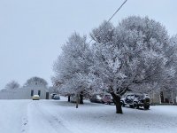 IMG_1728.jpg