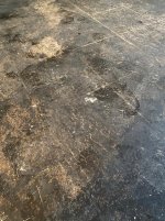 62751614160--EA279F86-A970-4E04-A8C0-404D7A8E00C7.jpg