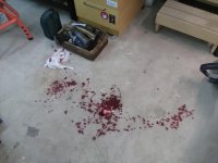 IMG_20201227_213041.jpg