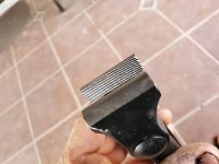20201102_100739.jpg