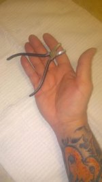 IMG_20210125_201239.jpg