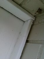 garage1.jpg