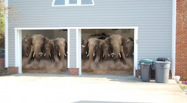 garage_elephants copy.jpg