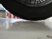 IMG_4556.jpg