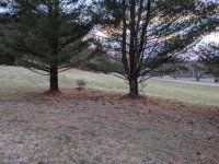 Location A 5 R PXL_20210119_213536391.jpg