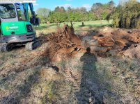 stumps 1.jpg