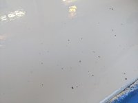 PXL_20200828_134611373.jpg
