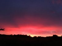 IMG_0373.jpg