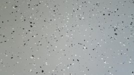 DSCN9298.jpg