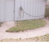 scan0001.jpg